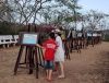 Trưng bày, triển lãm các tác phẩm tranh đạt giải trong Hội thi sáng tác tranh “Bảo tồn di sản văn hóa địa phương” tại trường học trên địa bàn tỉnh